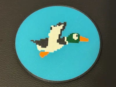 Duck Hunt Coaster