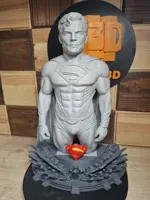 Large 249mm Bust 0.2mm layer, 2 walls, 12% infill