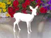 low poly roe deer