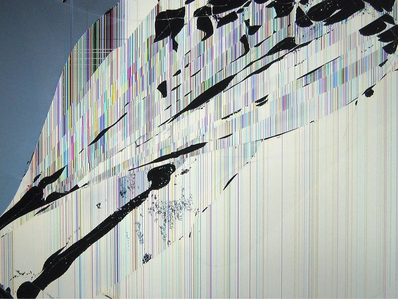 CS