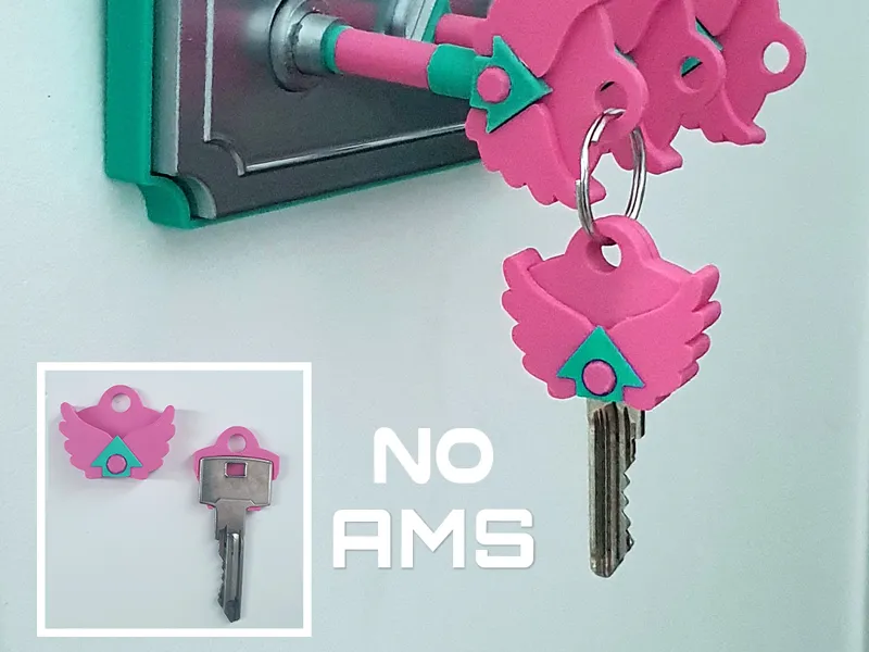 Squid Game inspired House Key cover AMS easy print
