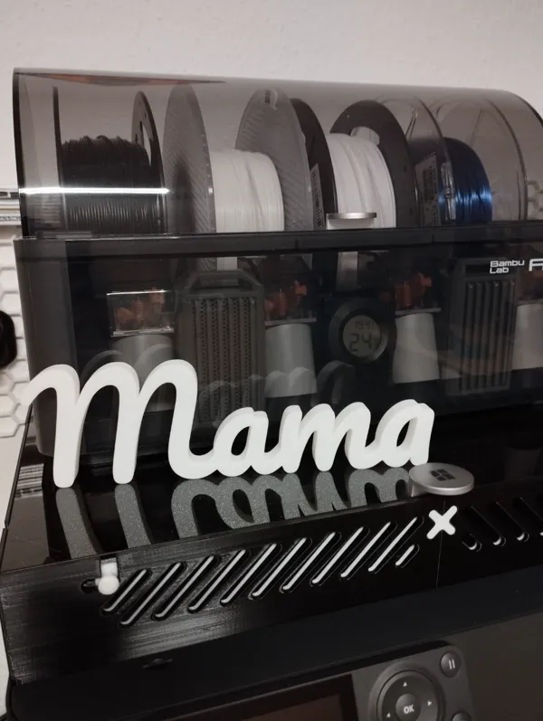 https://makerworld.bblmw.com/makerworld/model/US904095b23925ba/design/2024-04-23_4c7a291430aed.jpeg
