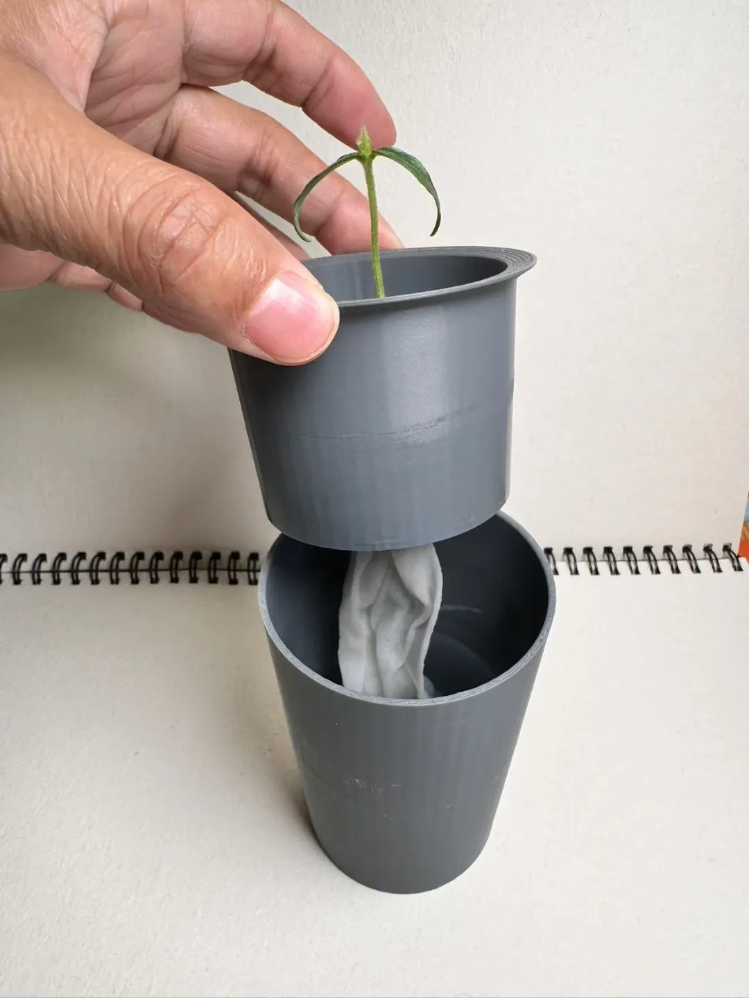 Miniatura 2 do modelo 3D 种植杯（水培杯）