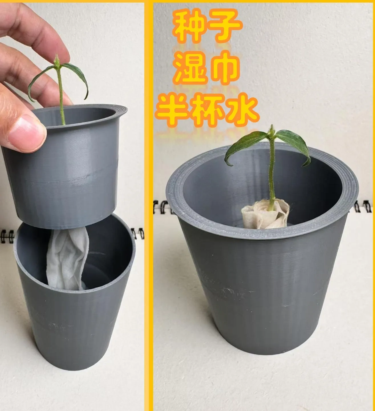 种植杯（水培杯）