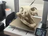 0.2mm layer, 3 walls, 3% infill
