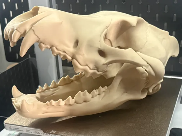 https://makerworld.bblmw.com/makerworld/model/US9045e77c178aea/design/f344774db2b2e1ec.jpg
