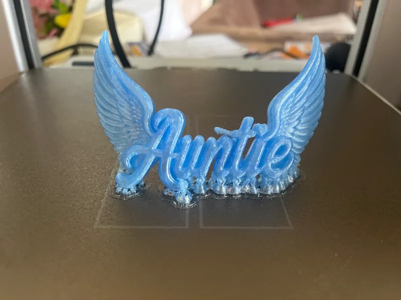 Auntie sign with wings