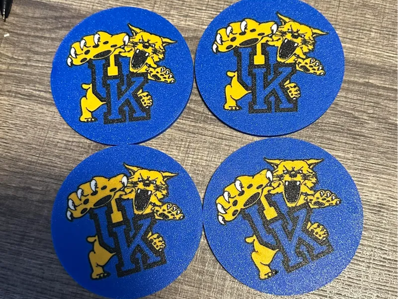 uk wildcat coaster