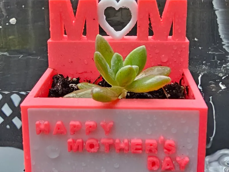 Mom Planter - Mother's Day - Succulent