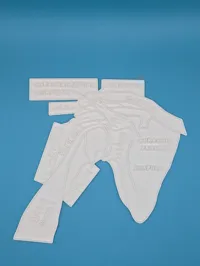 Panneau éducatif à colorier - anatomie de l'épaule — photo 2