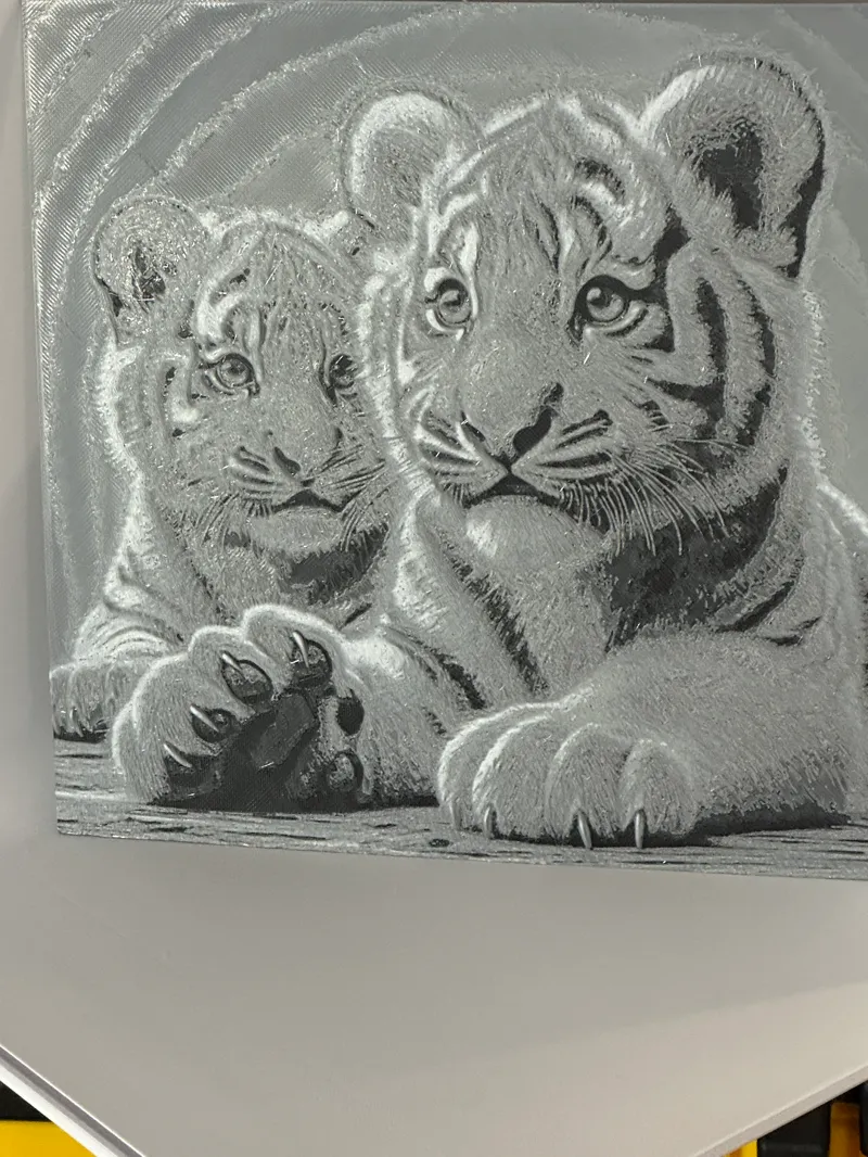 Tiger Cubs