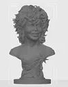 0.16mm layer, 2 walls, 10% infill
