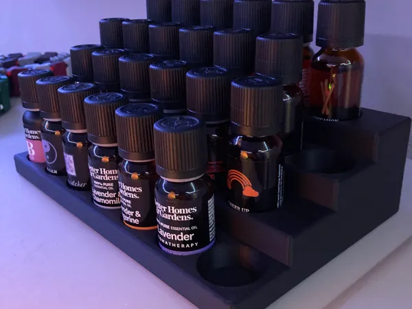 https://makerworld.bblmw.com/makerworld/model/US9061b8c4f0050e/design/2024-12-13_204d46e4f533f.jpeg