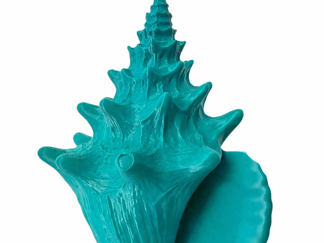 Shell