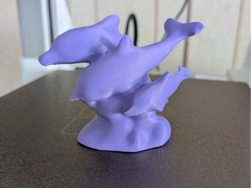Dolphins