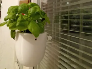 Hanging vase / vaso da appendere