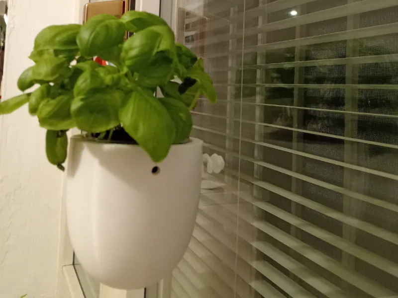 Hanging vase / vaso da appendere