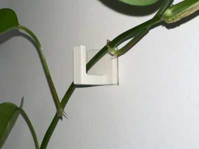 Plant Hook
