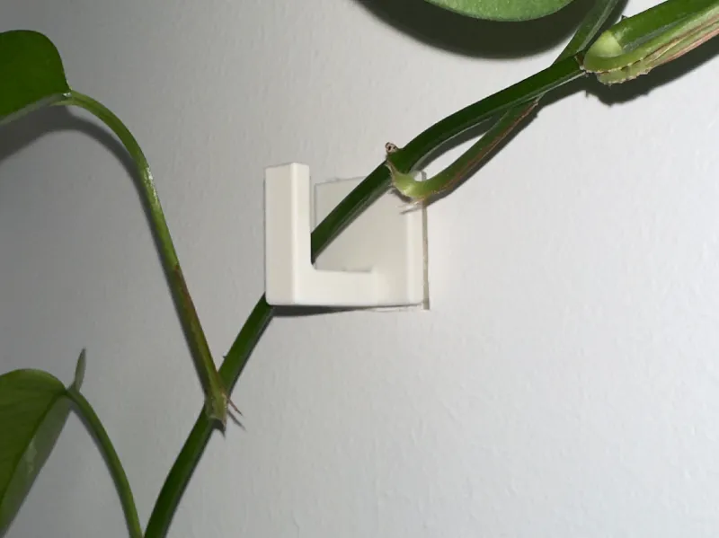 Plant Hook