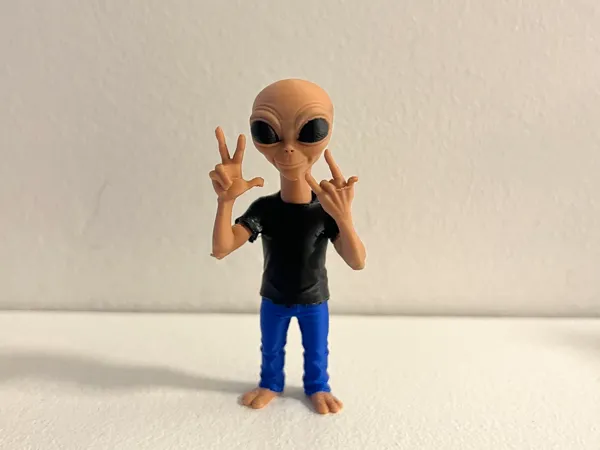 https://makerworld.bblmw.com/makerworld/model/US9071ae77733a95/design/2025-06-20_3e8043e2c7b48.png