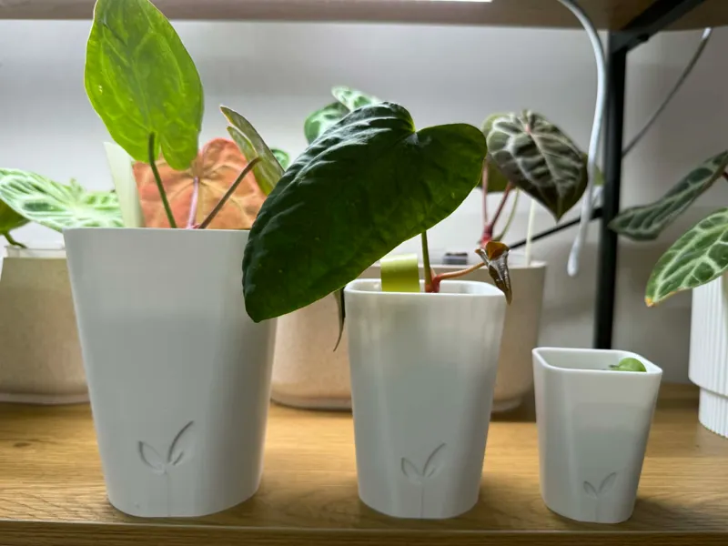 Smaller versions of Lechuza style Planter pot