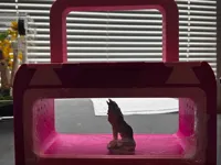 0.2mm layer, 2 walls, 10% infill