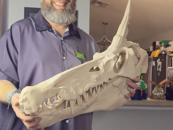 https://makerworld.bblmw.com/makerworld/model/US9078af553ee613/design/e17e02be763e917c.jpg