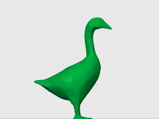 Husa/Goose Model