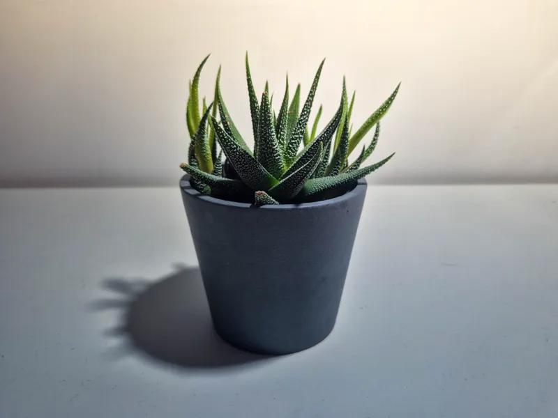 Simple and modern plant pot