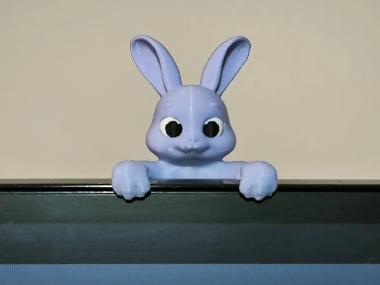 Monitor Bunny