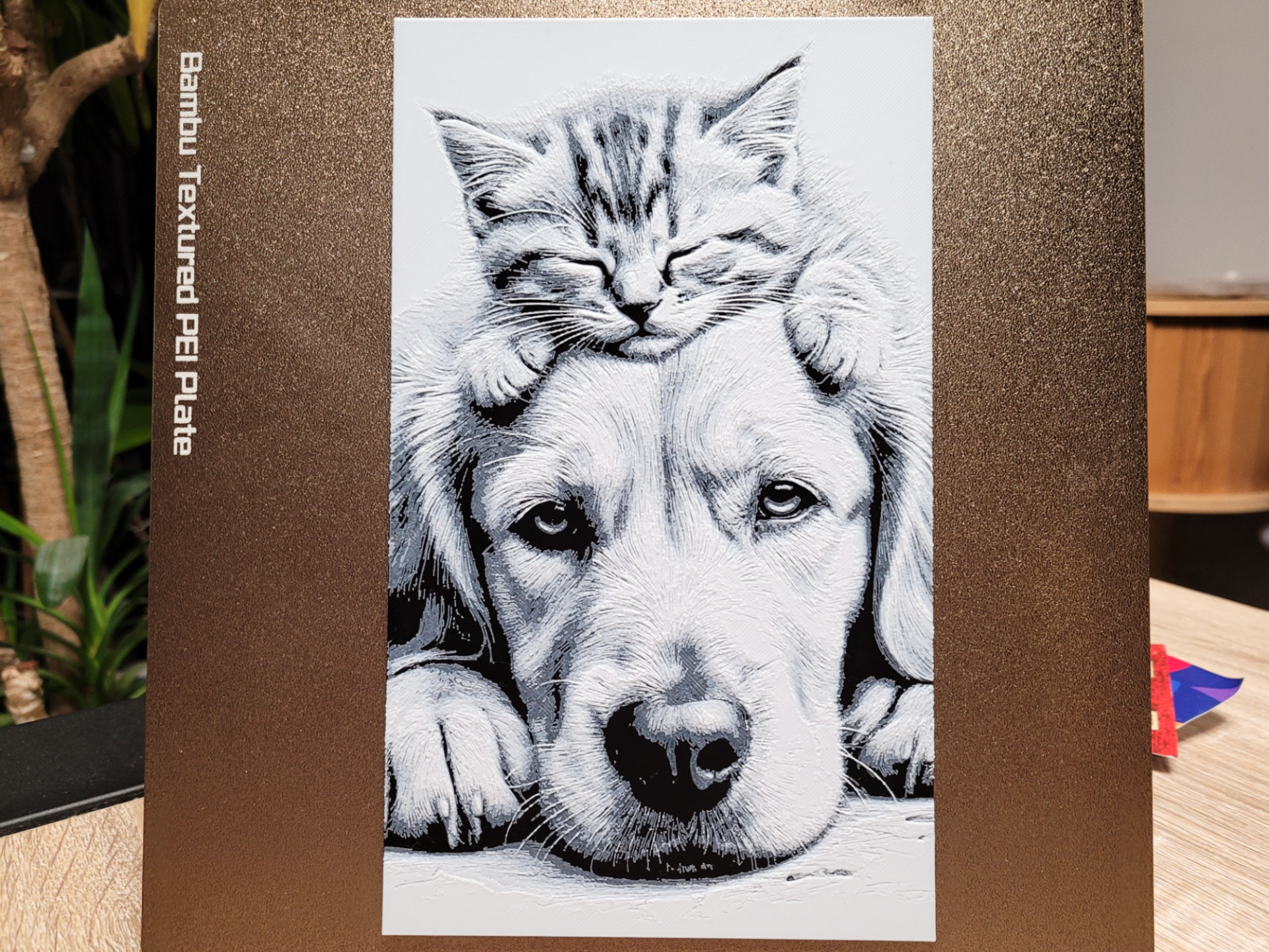 Dog & Kitten - Hueforge Black and White - 139x235