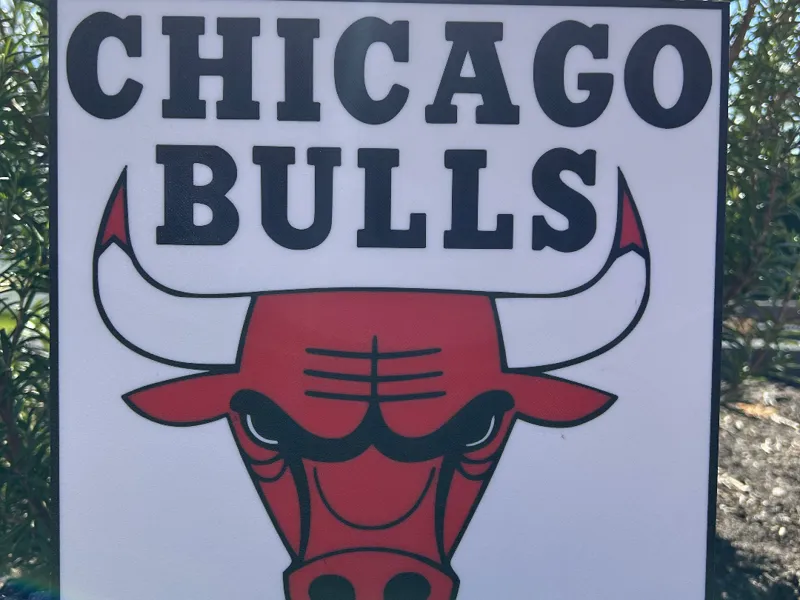 Chicago Bulls Lightbox