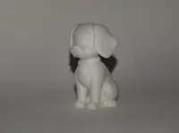 Petit chien mignon — photo 2