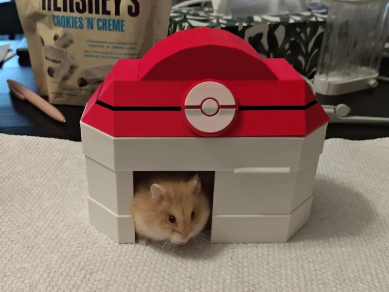 Pokemon Center hideout