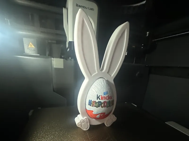 Kinder Bunny surprise easter 
