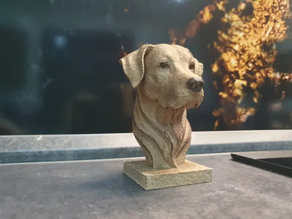 https://makerworld.bblmw.com/makerworld/model/US90874c8d8331ad/design/2025-05-19_c04e7516073d18.jpg