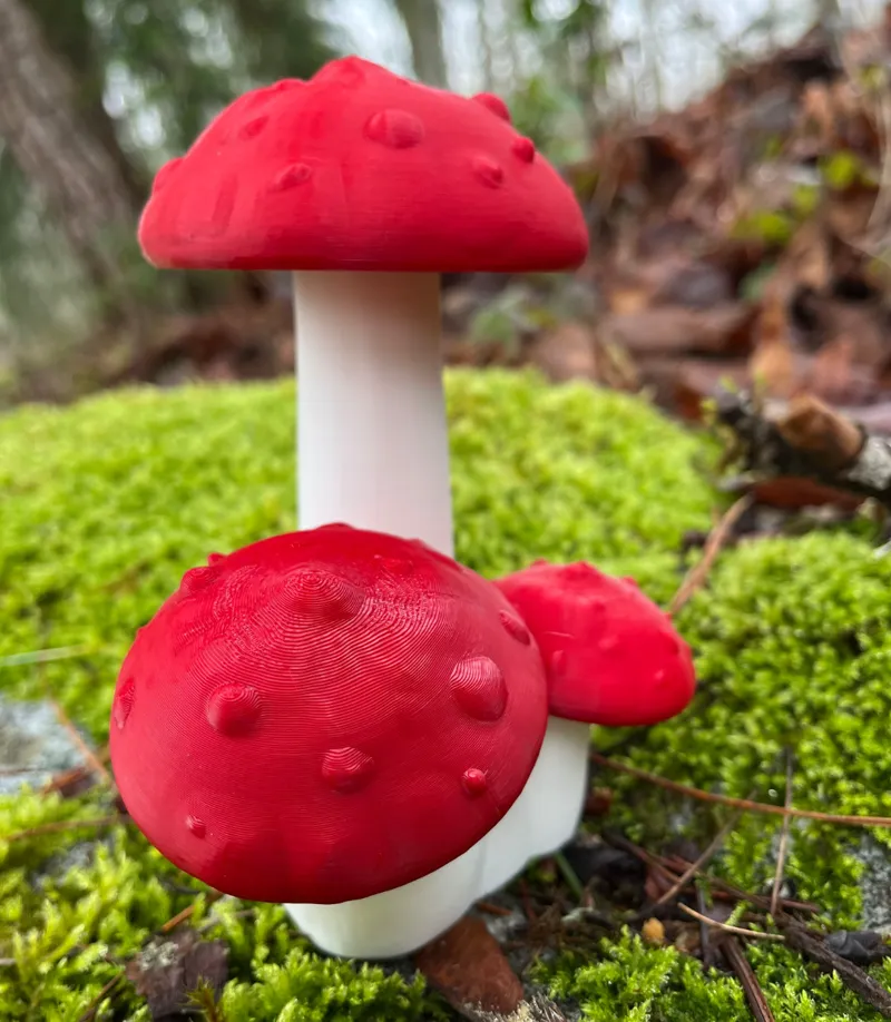 Charm Mushrooms