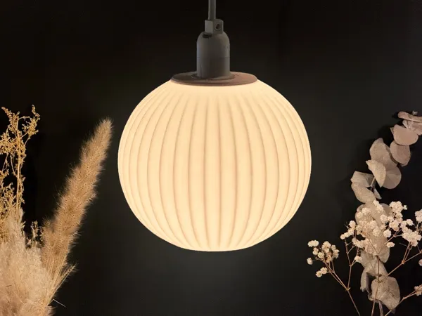 https://makerworld.bblmw.com/makerworld/model/US908eb02ca28019/design/2025-01-22_b089fa2104f5c8.jpg