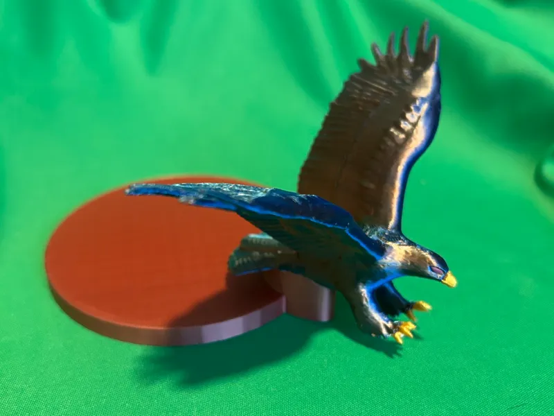 Eagle Coaster