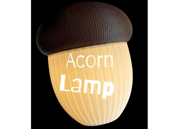 https://makerworld.bblmw.com/makerworld/model/US9092f9d6db9539/design/2025-08-28_346f97e3722038.png