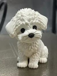 Maltipoo, 2 colors, 0.2mm layer, 3 walls, 8% infill