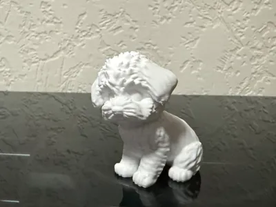 Cute Maltipoo Puppy  Easy Print Minimal Supports