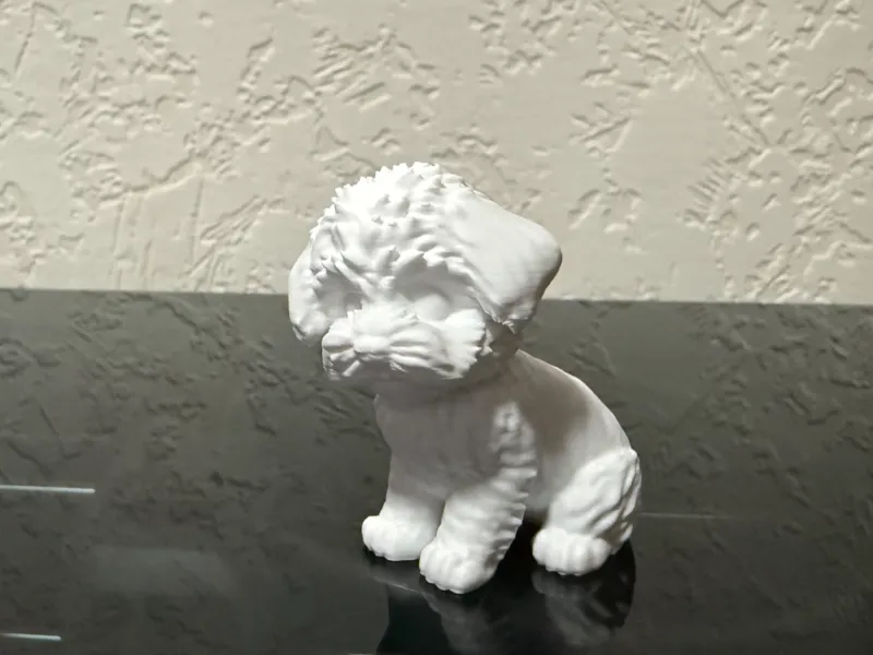 Cute Maltipoo Puppy  Easy Print Minimal Supports