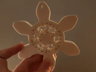 Planetary Snowflake