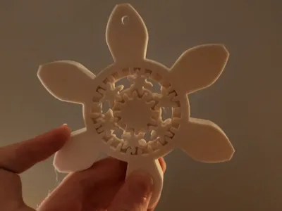 Planetary Snowflake