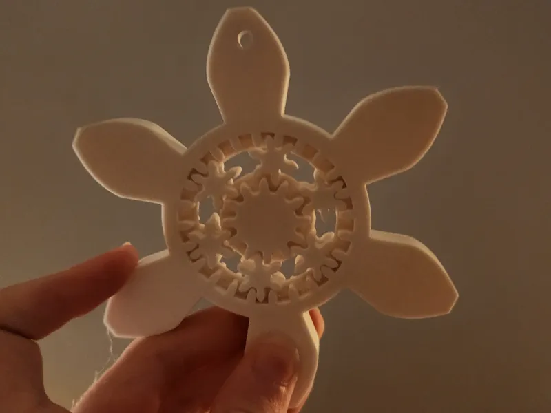 Planetary Snowflake