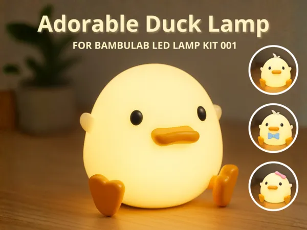 https://makerworld.bblmw.com/makerworld/model/US9098cc2ea9ab84/design/2025-11-21_b0299cf9e741b8.png