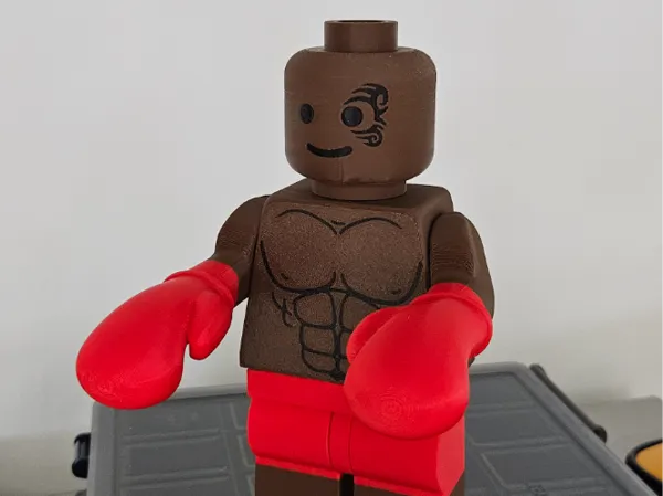 https://makerworld.bblmw.com/makerworld/model/US909e5da1d47823/design/2025-06-11_81e58c3904111.jpg