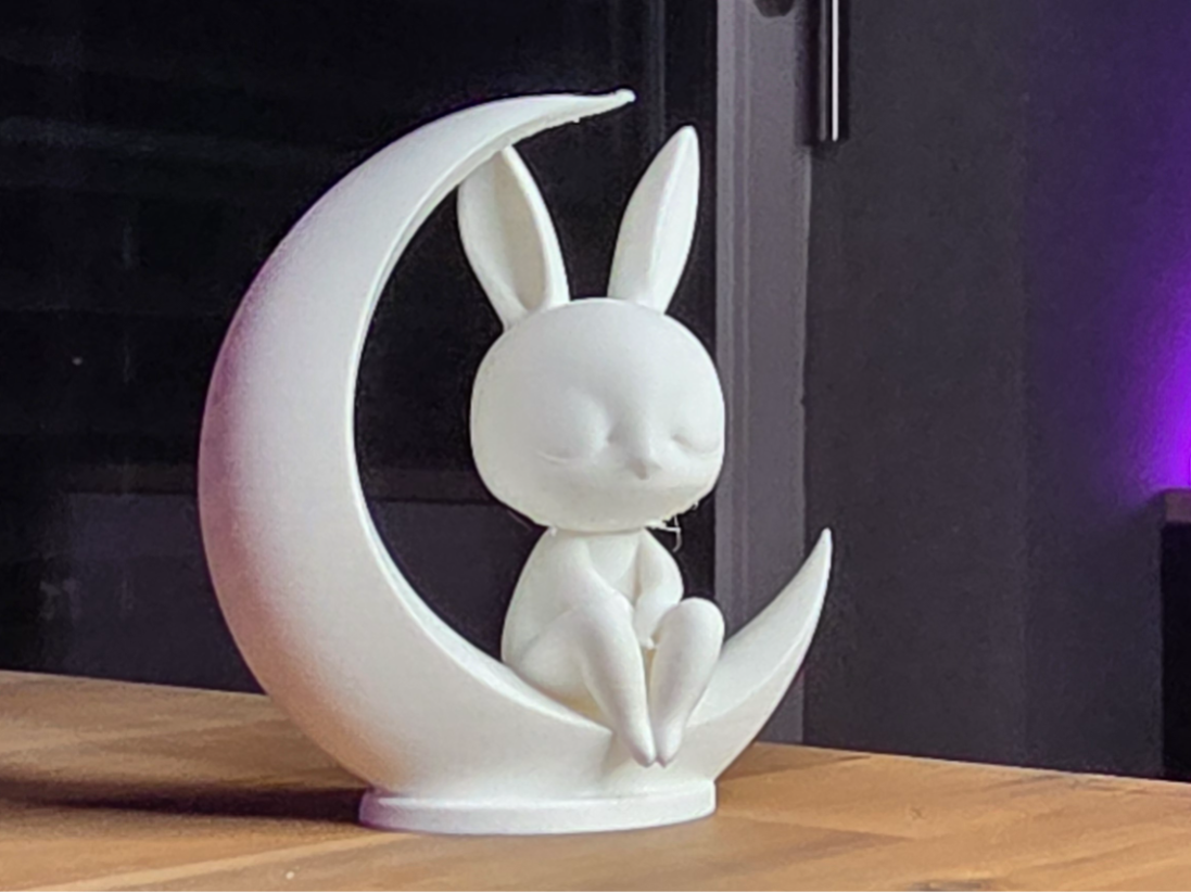 Cute Minimalistic Kawaii Rabbit sitting in Moon