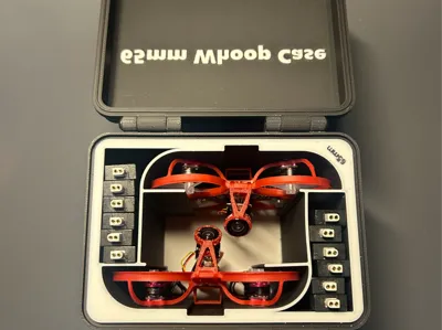 MagicSmoke_ Dual Whoop Case 